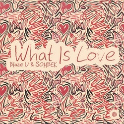 What Is Love (Extended Mix)