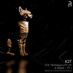 The Tranquillity of A Remix - Pt. I