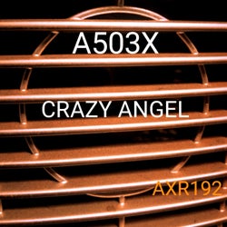 Crazy Angel