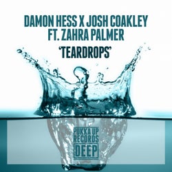 Teardrops (feat. Zahra Palmer)