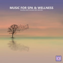 Music for Spa & Wellness (Relaxing Music for Mind, Body and Soul)