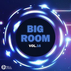 Big Room, Vol. 16