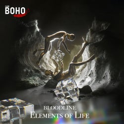 Elements of Life