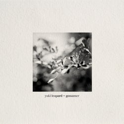 Gossamer