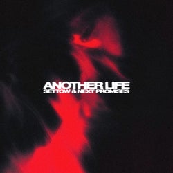 Another Life