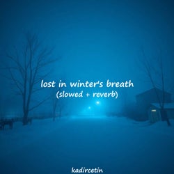 lost in winter's breath (slowed + reverb)
