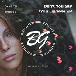 Don't You Say You Love Me EP