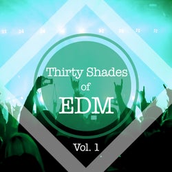Thirty Shades Of EDM, Vol. 1