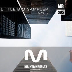 Little Big Sampler Vol. 5