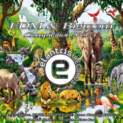 EDM & Bigroom Compilation Vol. 1