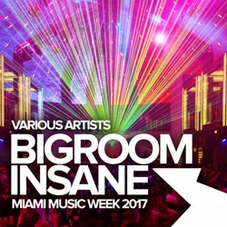 Bigroom Insane: Miami Music Week 2017