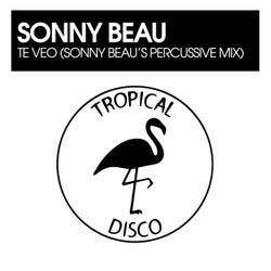 Te Veo (Sonny Beau's Percussive Mix)