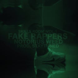 Fake Rappers (Skills Room Vol.1)