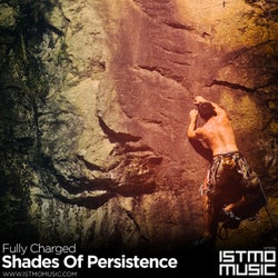 Shades Of Persistence