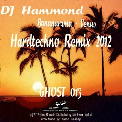Venus (DJ Hammond Hardtechno Remix 2012)