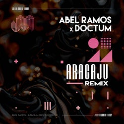 Aracaju (DOCTUM Remix)