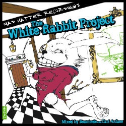 The White Rabbit Project