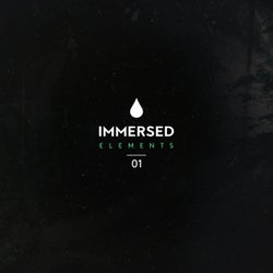 Immersed Elements 01