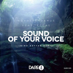 Sound of Your Voice - Nino Kattan Remix