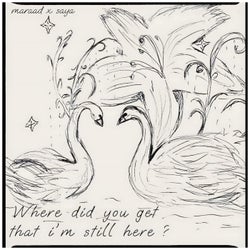 Where did you get that i'm still here?