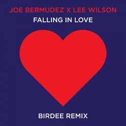 Falling In Love (Birdee Remix)