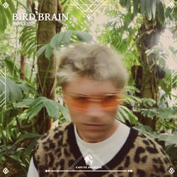 Bird Brain