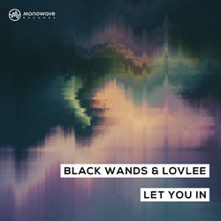 Let You In