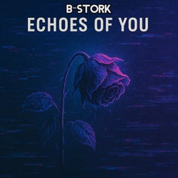 Echoes of You