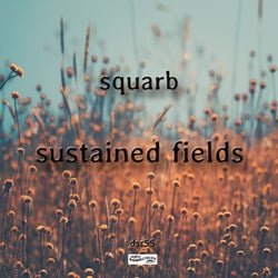 Sustained Fields
