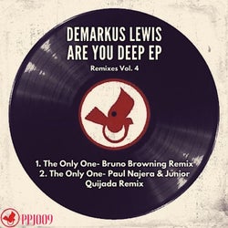 Are You Deep Remixes Vol 4