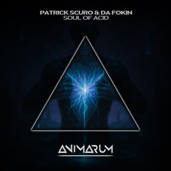 Soul of Acid (Extended Mix)