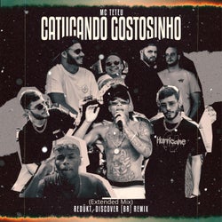 Catucando Gostosinho (Redükt, Discover (Br) - Remix Extended)