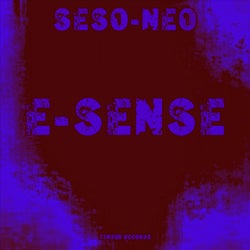E-Sense
