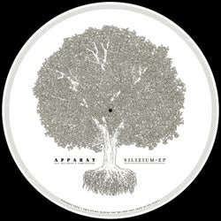 Silizium EP