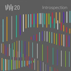 VW20 : Introspection - Exclusive Beatless Trax