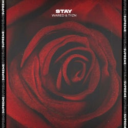 Stay