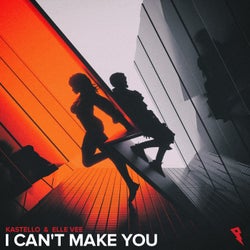 I Can't Make You