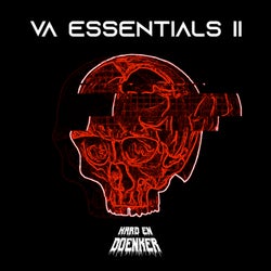 VA Essentials 2