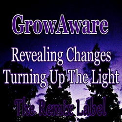 Revealing Changes / Turning up the Light (Deephouse Meets Dubhouse Music)