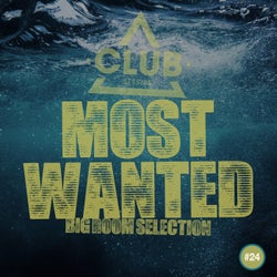 Most Wanted - Big Room Selection Vol. 24