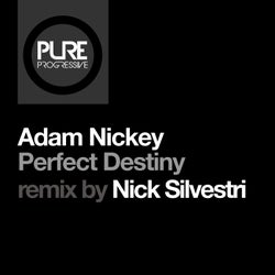 Perfect Destiny - Nick Silvestri Remix