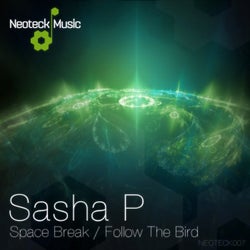 Space Break / Follow the Bird