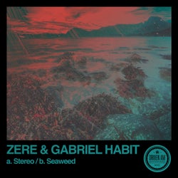 Stereo / Seaweed