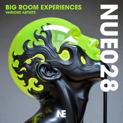 Big Room Experiences