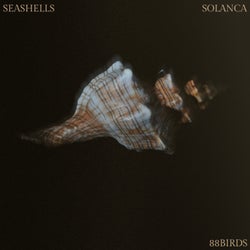 Seashells (Extended Mix)