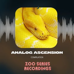 Analog Ascension