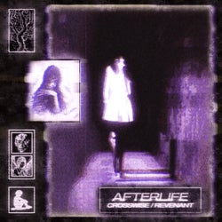 AFTERLIFE