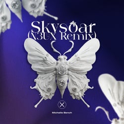 Skysoar (N3UX Remix)