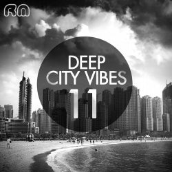 Deep City Vibes, Vol. 11