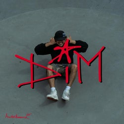 D.I.M